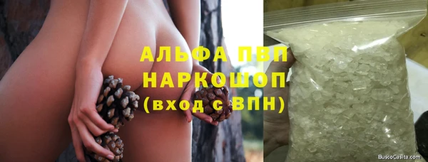 PSILOCYBIN Баксан