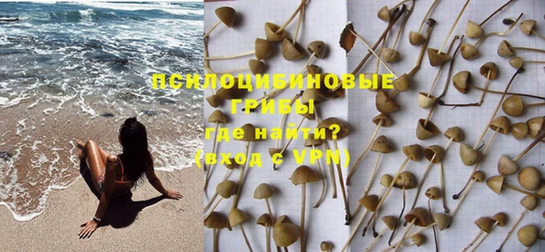 PSILOCYBIN Баксан